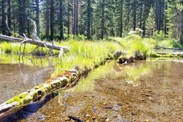 Adventure Oregon