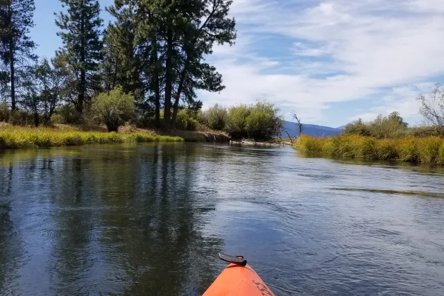 Clear, calm water on the Upper Wood River seen from a kayak