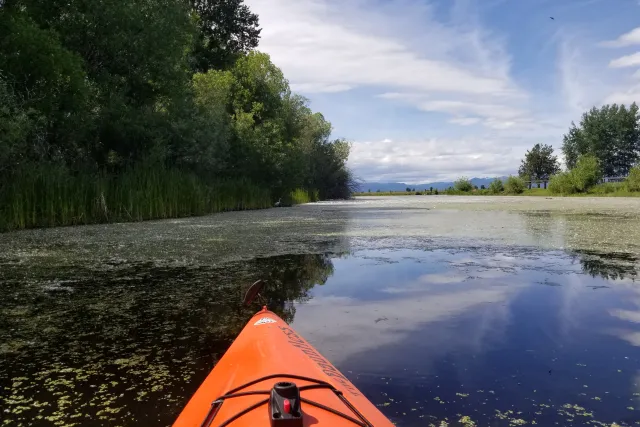 Orange kayak bow on a calm wetland channel lined with lily pads