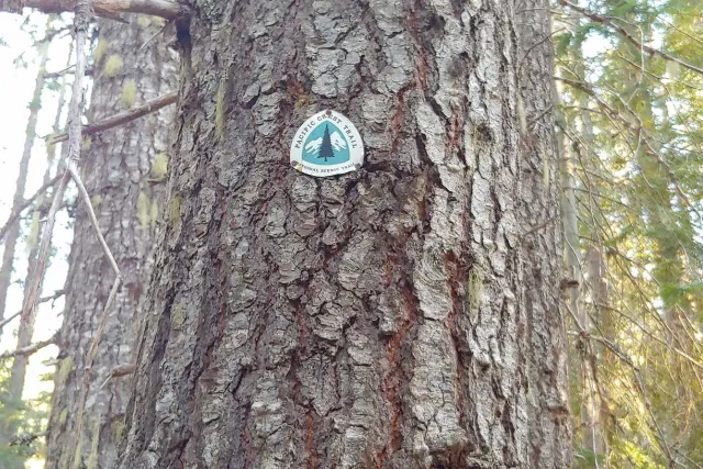 Sky Lakes Wilderness: Pacific Crest Trail marker on a tree