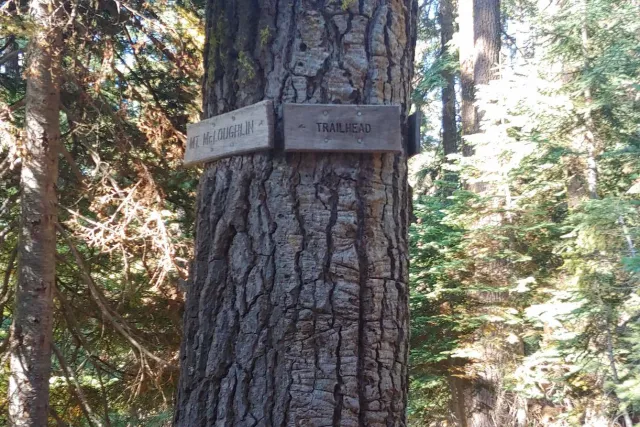 Sky Lakes Wilderness: a trail sign on a tree beside the path