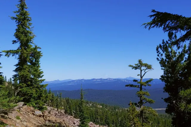 Sky Lakes Wilderness: view east over the forest from a rocky slope