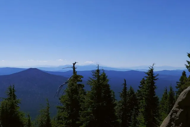 Sky Lakes Wilderness: forested peaks under a clear sky