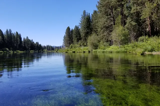 Williamson River 2019 | Adventure Oregon