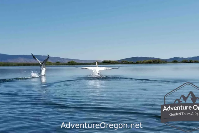Pelican Bay Oregon | Adventure Oregon