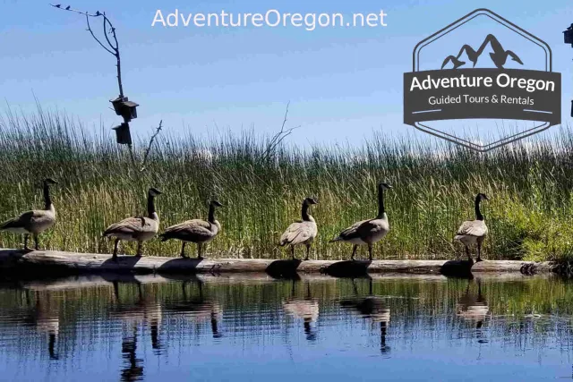 Upper Klamath National Wildlife Refuge | Oregon Adventures
