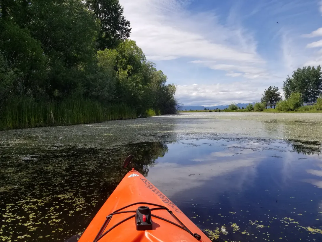 Orange kayak bow on a calm wetland channel lined with lily pads