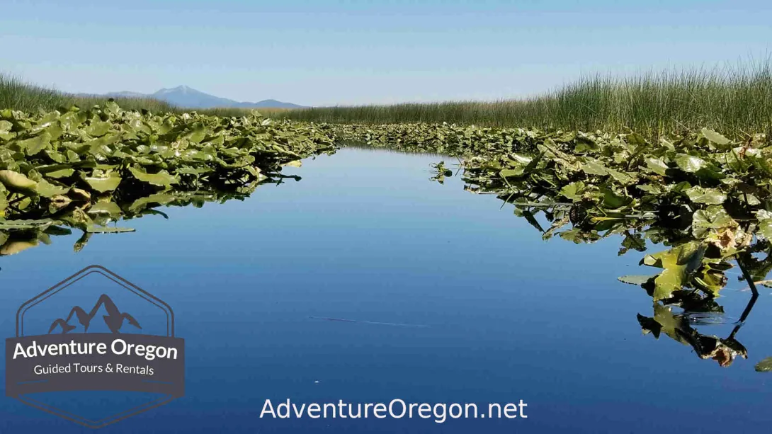 Upper Klamath Canoe Trail | Oregon Adventures