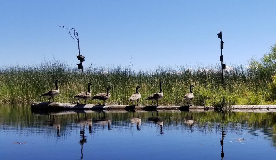 Adventure Oregon Harriman Springs Pontoon Tours