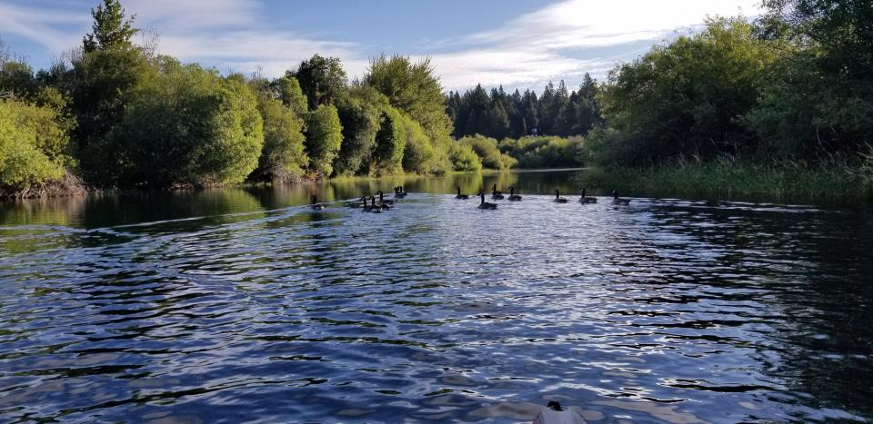 Adventure Oregon Harriman Springs Pontoon Tours Adventure Oregon Harriman Springs Pontoon Tours