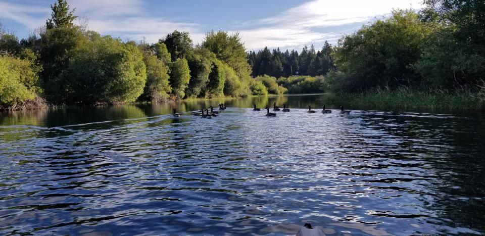 Adventure Oregon Harriman Springs Pontoon Tours