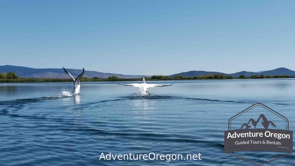 Upper Klamath Canoe Trail | Upper Klamath Wildlife Refuge