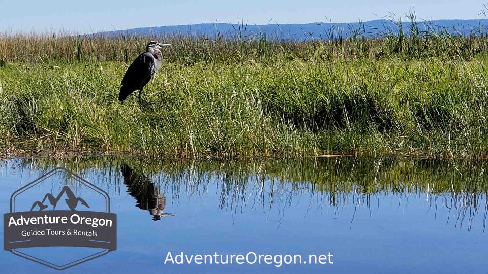 Upper Klamath Canoe Trail | Upper Klamath Wildlife Refuge