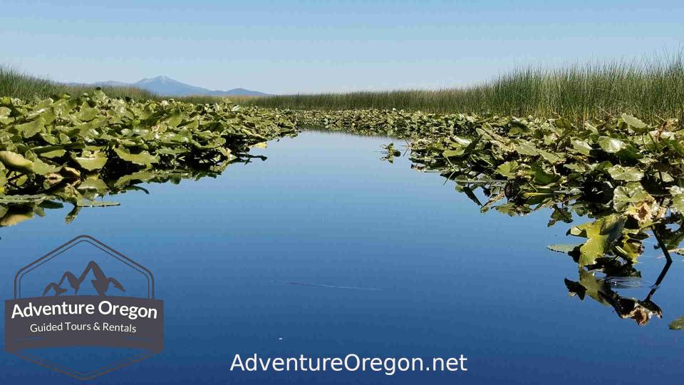 Upper Klamath Canoe Trail | Upper Klamath Wildlife Refuge