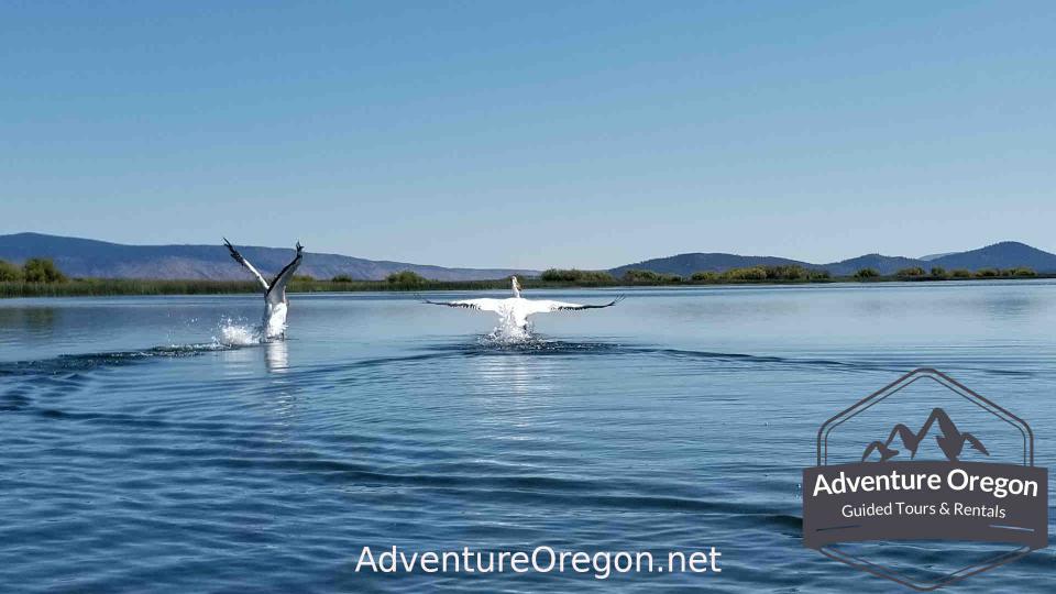 Pelican Bay Oregon | Adventure Oregon Pelican Bay Oregon | Adventure Oregon